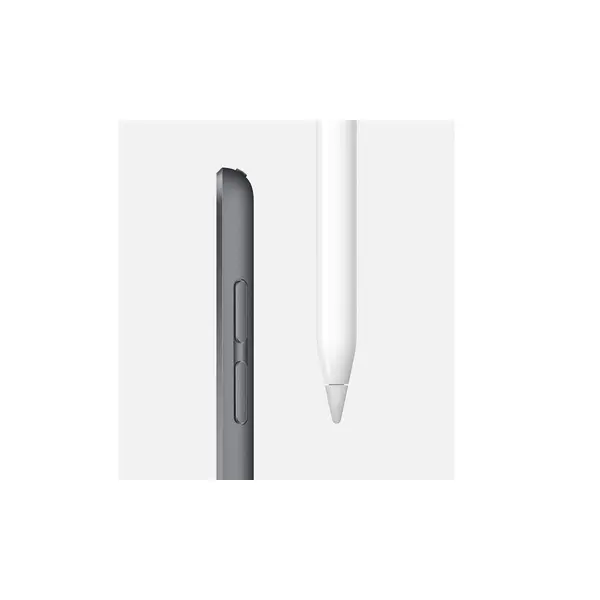 تبلت اپل مدل iPad Mini 5 2019 7.9 inch WiFi ظرفیت 256 گیگابایت - 3