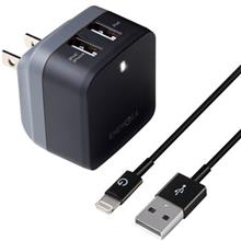 Energea Travelite Pro 3.4 Wall Charger