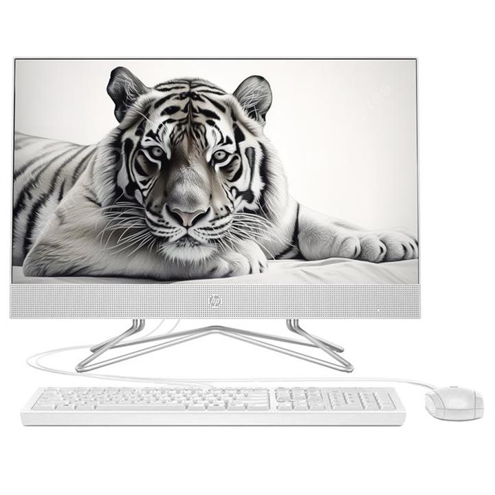 HP 200 G4- Core i5 1235U 8GB 1TB HDD 256GB SSD Intel 22 inch All-in-One PC