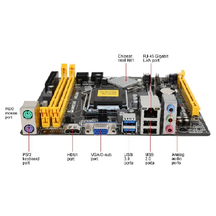 Biostar H81MHV3 LGA 1150 Motherboard