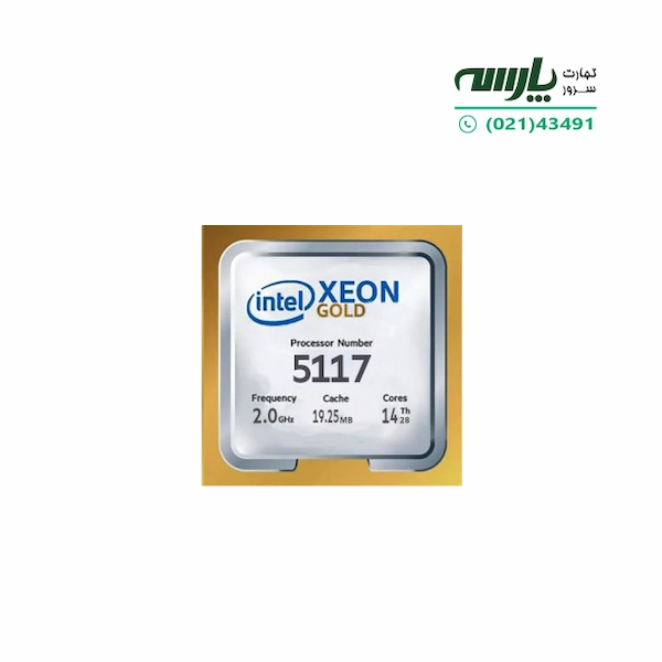 CPU: Intel Xeon Gold 5117