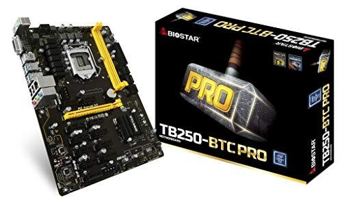 BIOSTAR TB250-BTC Plus Motherboard