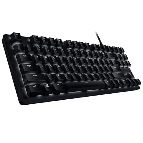 کیبورد باسیم ریزر مدل BLACKWIDOW LITE SILENT SWITCH Keyboard: Razer BlackWidow Lite - 2