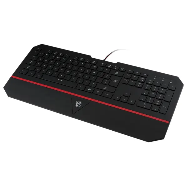 Keyboard: MSI Interceptor DS4100 Gaming