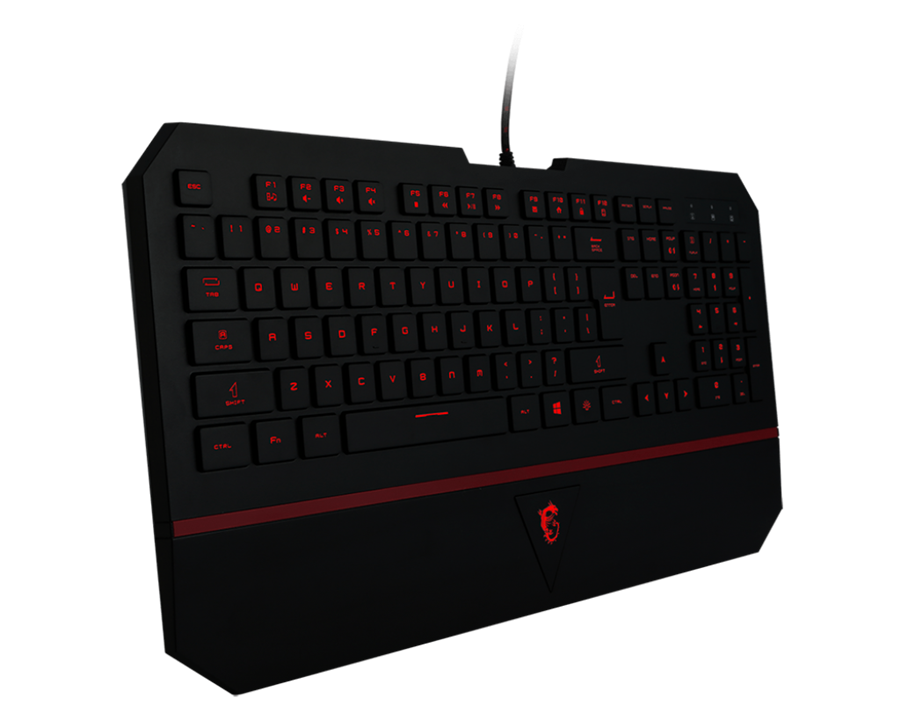 Keyboard: MSI Interceptor DS4100 Gaming