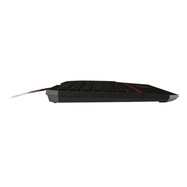 Keyboard: MSI Interceptor DS4100 Gaming