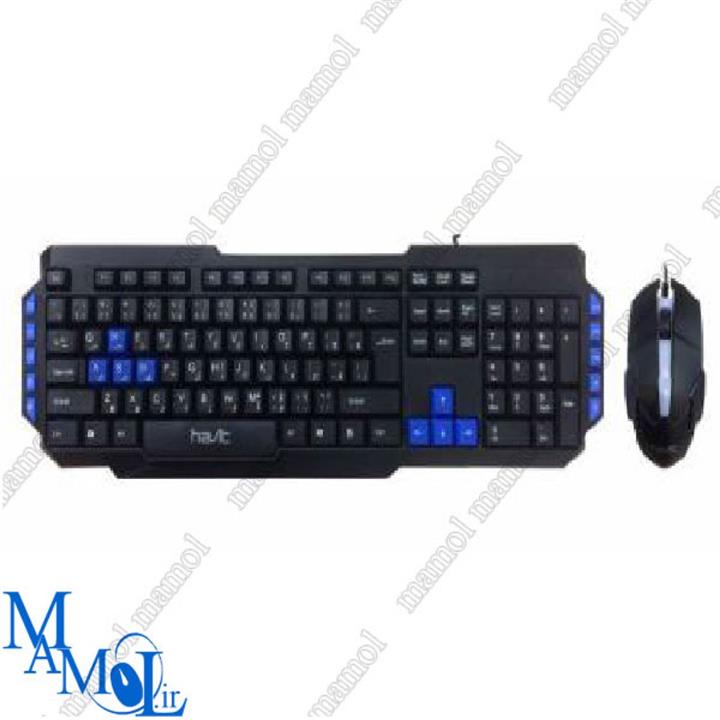 HAVIT 254CM KEYBOARD & MOUSE