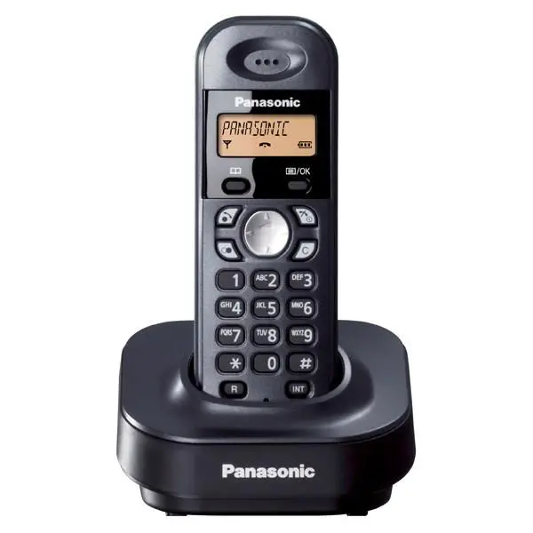 تلفن بی سیم پاناسونیک KX-TG1311BX Panasonic KX-TG1311BX - 2