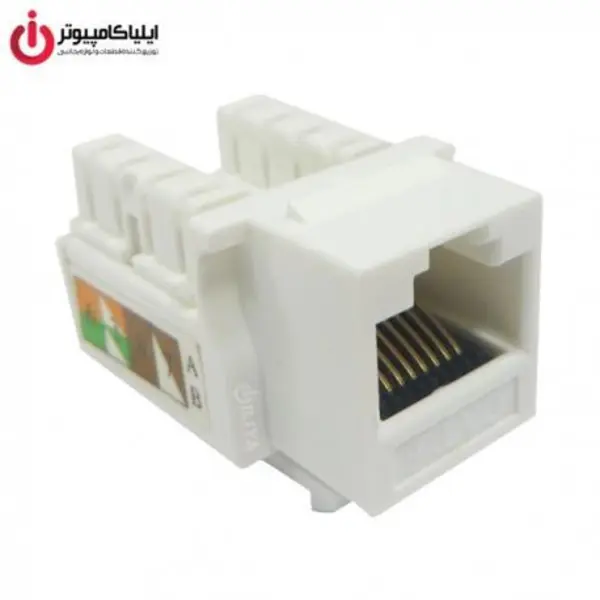 کابل و سوکت شبکه جک کیستون دی لینک کت 6 یو تی پی D-Link Cat6 UTP Keystone Jack - 2