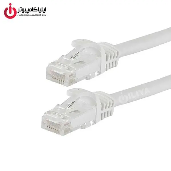 کابل شبکه CAT5E دی-نت به طول 10 متر D-Net Cat 5E Patch Cord 10M - 2