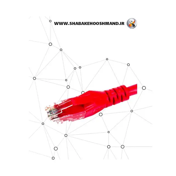 پچ کورد بلدن مدل CAT6 FTP به طول 3 متر Belden CAT6 FTP 3m Patch Cord - 3