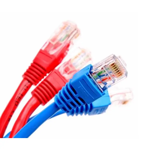 Network Cable Cat 15 15m کابل شبکه 15 متری CAT15 P-net Network Cable cat5 15m - 2