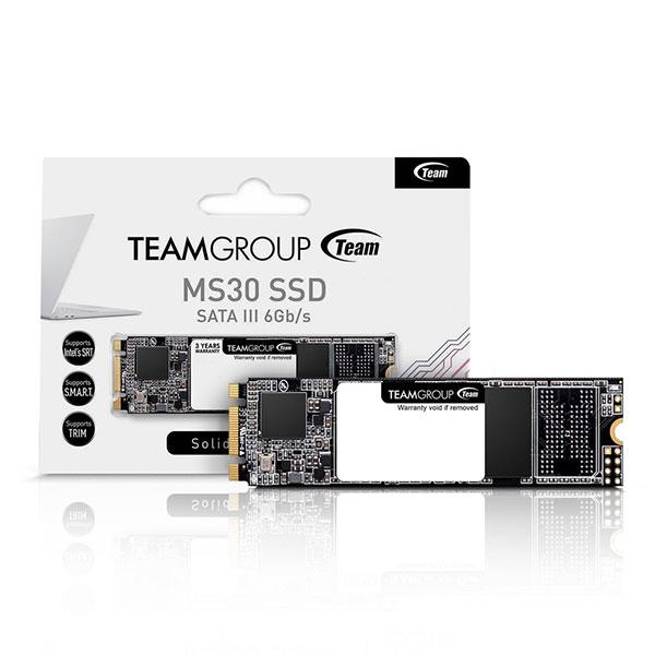 اِس اِس دی تیم گروپ ام اس 30 256 گیگابایت SSD: Team Group MS30 256GB