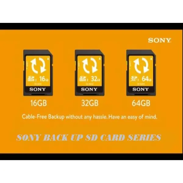 کارت حافظه اس دی 64GB Back Up SD Card SNBA64 Sony 64GB Back Up SD Card SNBA64