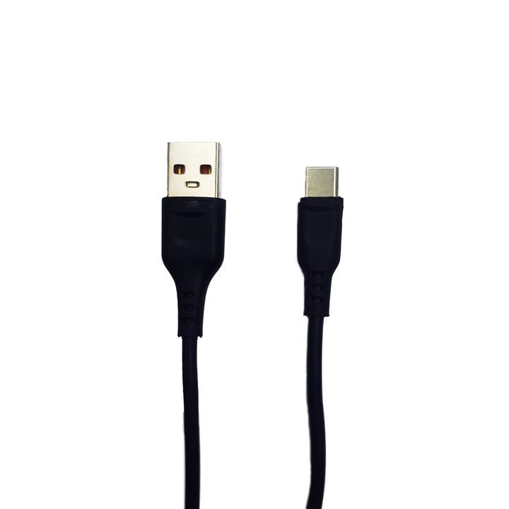 کابل تبدیل USB به USB-C دن‌من مدل D01T طول 1 متر -