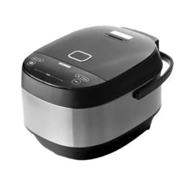 پلوپز بایترون BITRON BRC-E5