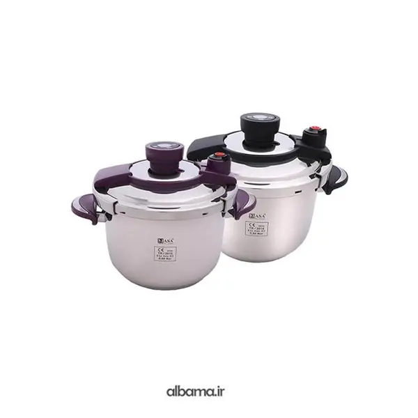 زودپز روگازی ناسا مدل NS 219 Nasa Pressure Cooker - 2