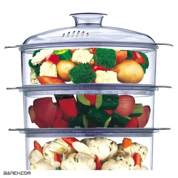 بخار پز انالوگ ناسا الکتریک مدل NS 701 Nasa Steam Cooker
