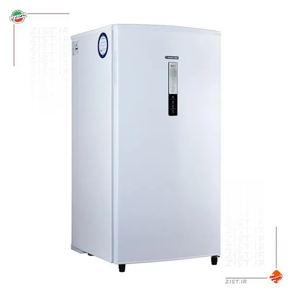 فریزر تک ایستکول 9 فوت مدل TM-959-95 Eastcool TM-959-95S Freezer