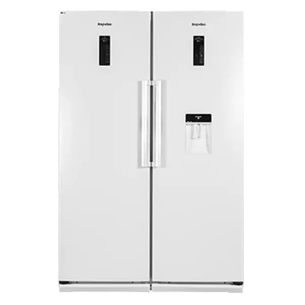 یخچال و فریزر دوقلو دیپوینت مدل D5E D5E-I