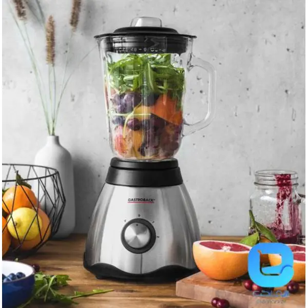 مخلوط کن ویتال گاستروبک 40999 GASTROBACK