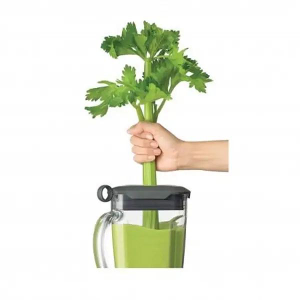 مخلوط کن گاستروبک مدل 41007 فوق پیشرفته 12 سرعته