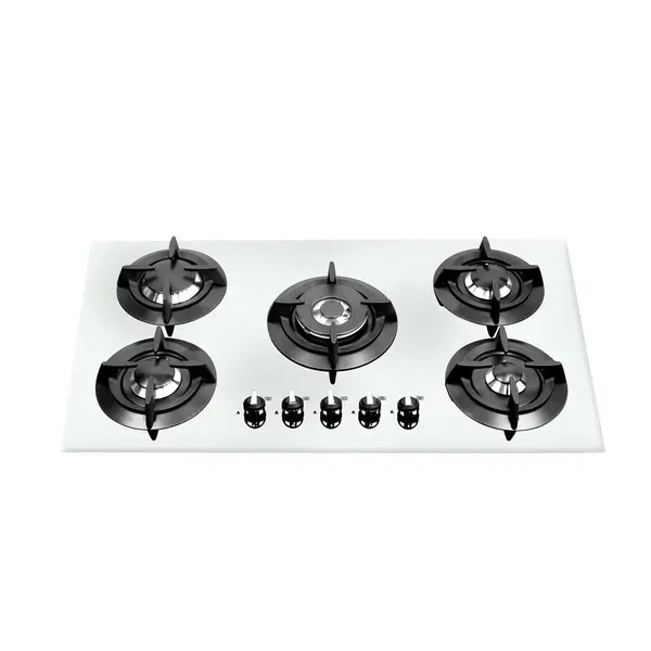 گاز رابیتس مدل RG-551W