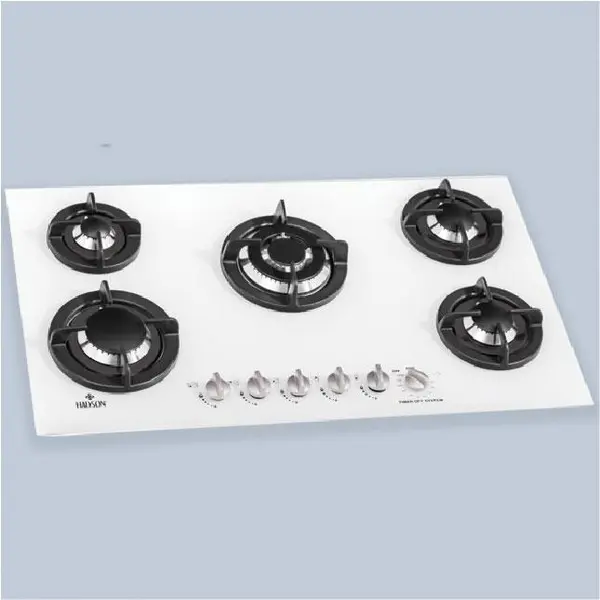 اجاق گاز صفحه ای هادسون مدل 202W - 2