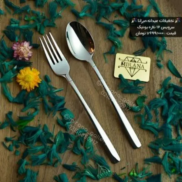 سرویس قاشق و چنگال سیلور یا نقره ای مدل شیکاگو برند یونیک - 3