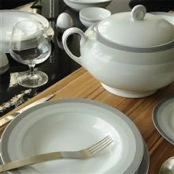 سرویس غذاخوری زرین 28 پارچه 6 نفره سری ایتالیا اف مدل سیلور لاینر درجه عالی Zarin Iran Porcelain Inds Italia-F Silver Liner 28 Pieces Porcelain Dinnerware Set Top Grade