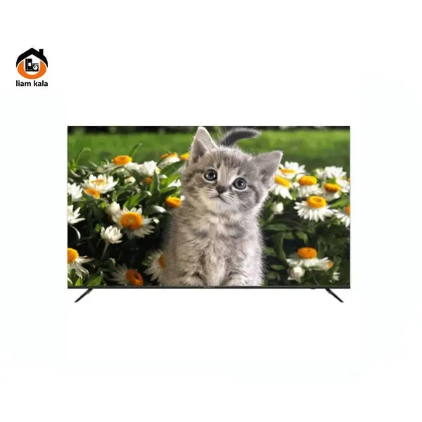 تلویزیون ال ای دی هوشمند دوو 65 اینچ مدل DSL-65SU1800