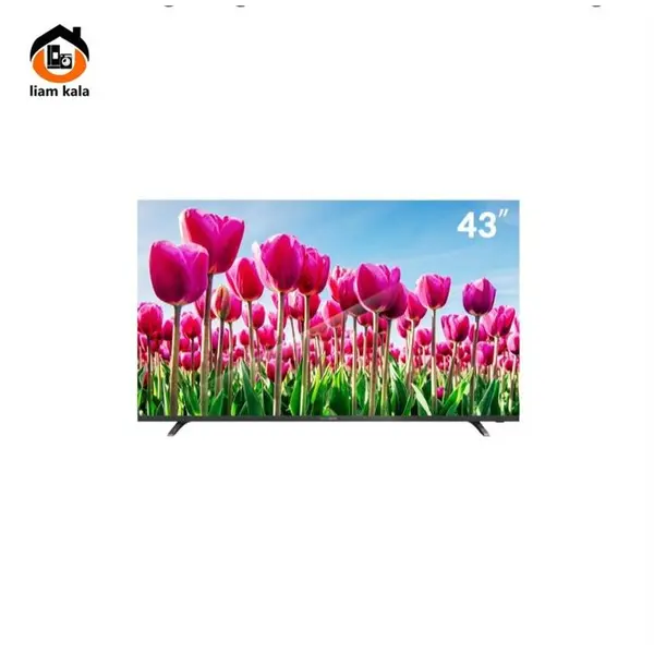 تلویزیون دوو مدل DLE-43M6000EM سایز 43 اینچ - 5
