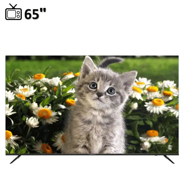 تلویزیون دوو مدل DSL-65S8000EU سایز 65 اینچ