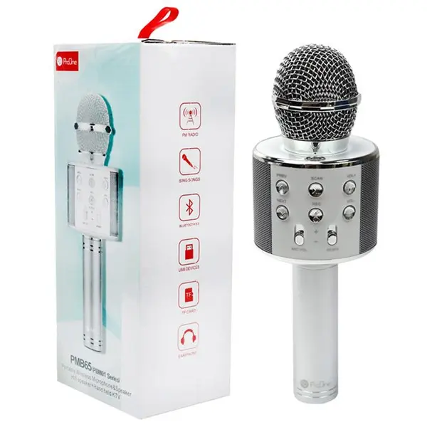 میکروفون و اسپیکر بلوتوثی رم و فلش خور ProOne PMB65