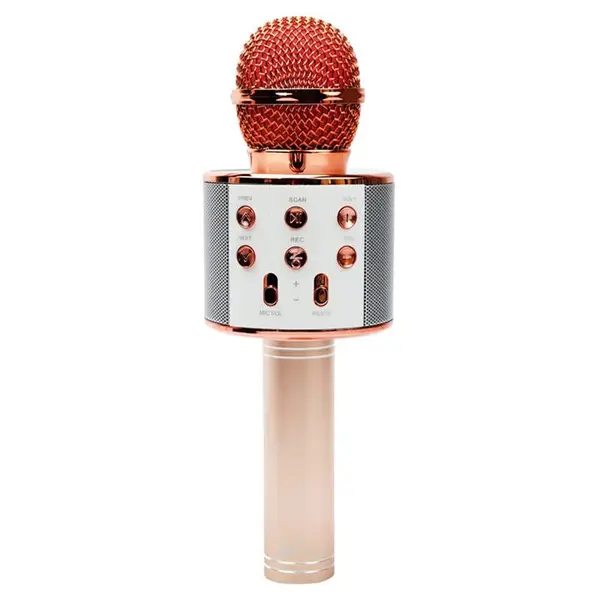 میکروفون و اسپیکر بلوتوثی رم و فلش خور ProOne PMB65