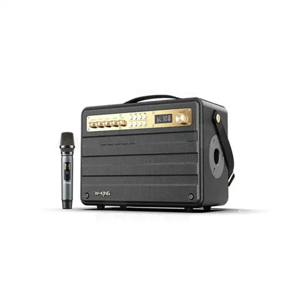 اسپیکر بلوتوثی دبلیو کینگ K6S با میکروفون - 2