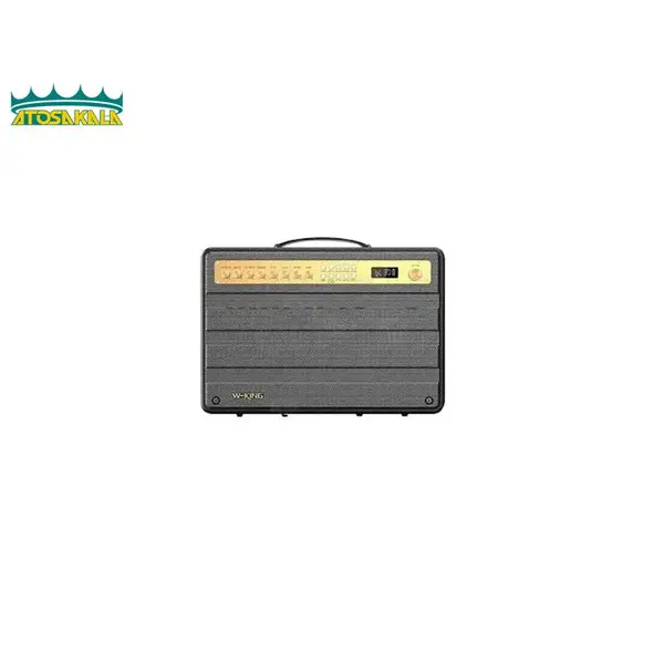 اسپیکر بلوتوث دبلیو کینگ W-KING K6S توان 100 رم و فلش خور با میکروفون