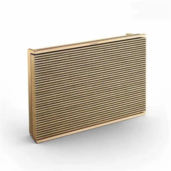 اسپیکر بیسیم بنگ اند آلفسن مدل BEOSOUND LEVEL - 5