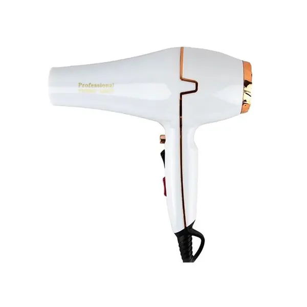 سشوار فیلیپس مدل PH-9999 - 2