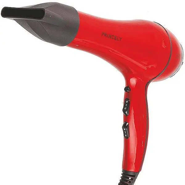 سشوار پرینسلی PR228