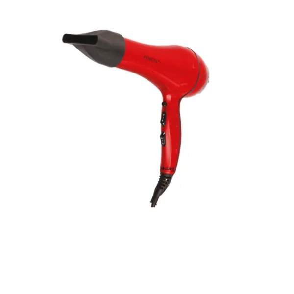سشوار پرینسلی PR228