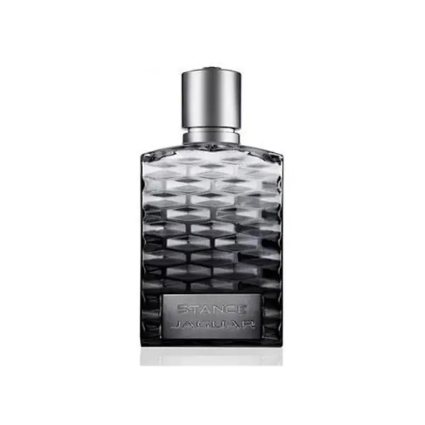عطر و ادکلن مردانه جگوار استنس Jaguar Stance For Men