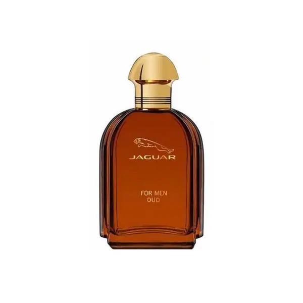ادو پرفیوم مردانه جگوار Oud حجم 100 میل