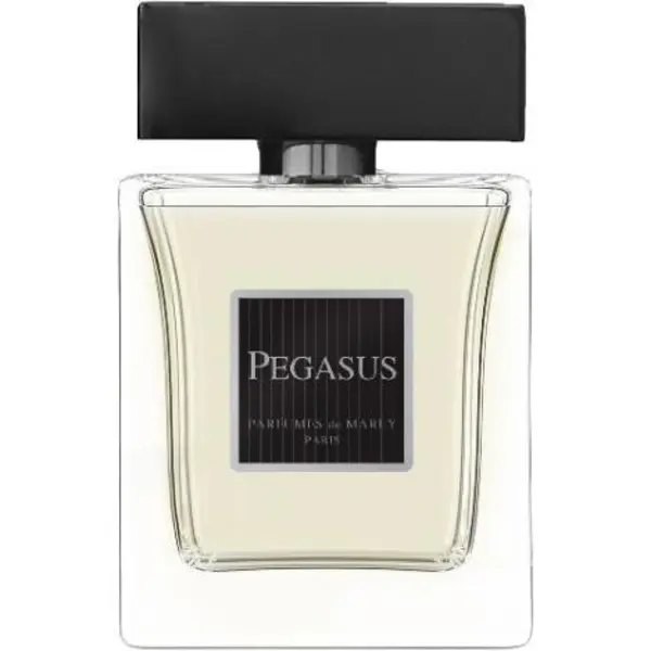 ادکلن مردانه نیو پرستیژ کالر مدل PEGASUS MAN ظرفیت 100 میلی لیتر