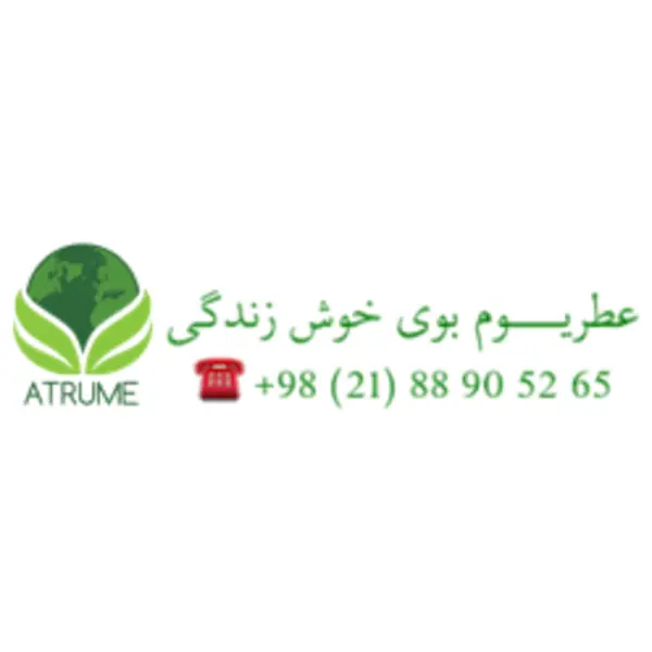 ادوپرفیوم زنانه ورساچه پور فم دیلان بلو 100 میل