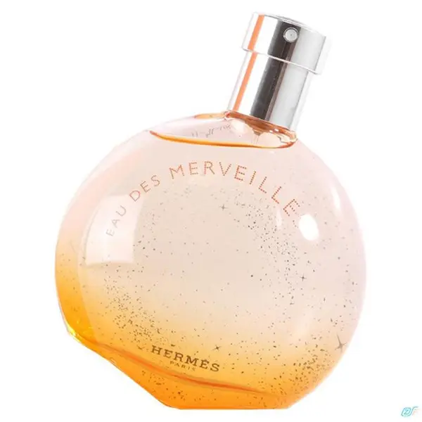 ادو تویلت زنانه هرمس مدل Eau des Merveilles Bleue حجم 100 میلی لیتر - 3