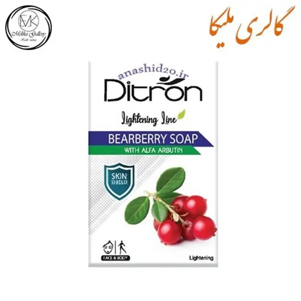 صابون شستشو دیترون مدل Bearberry وزن 110 گرم