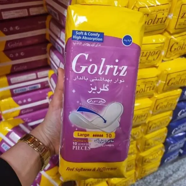 نوار بهداشتی بالدار گلریز مدل 01 بسته 10 عددی