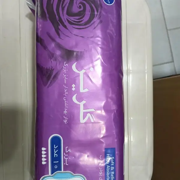 نوار بهداشتی بالدار گلریز مدل 01 بسته 10 عددی