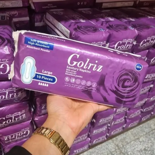 نوار بهداشتی بالدار گلریز مدل 01 بسته 10 عددی